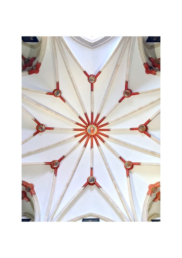 Look Up