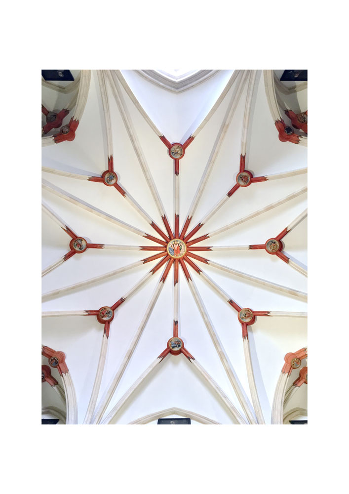 Look Up 1